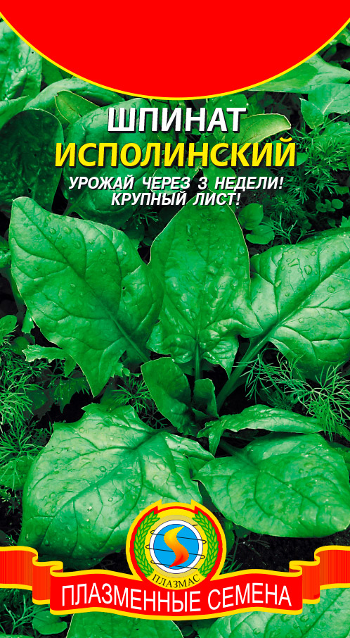 ������ ������ ������ ������� ������ �����������, 2 �   ����