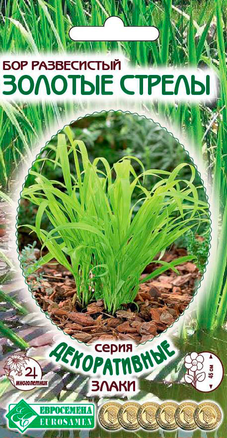 ������ ������ ������ ���������� ��� ����������� ������� ������, 5 ��. ������������ �����   ����