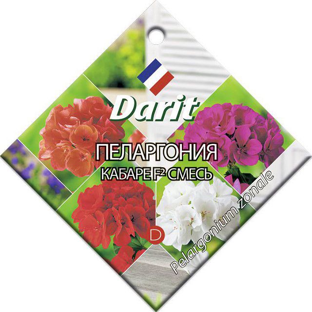 ������ ������ ������ ���������� DARIT ������ ����� F2 4��   ����