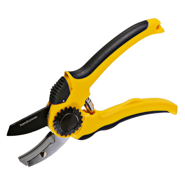 ������ ������ ������� Hanskonner 21�� ����������� �����   ����