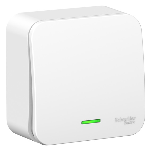 ������ ������ ����������� 1-��������� SYSTEME ELECTRIC Blanca 10� �/� �����   ����