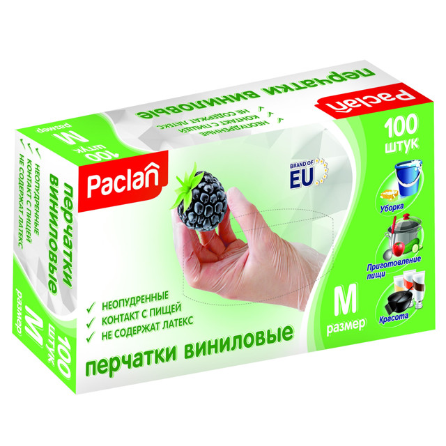 ������ ������ �������� PACLAN ��������� M 100�� ���� � ������������   ����