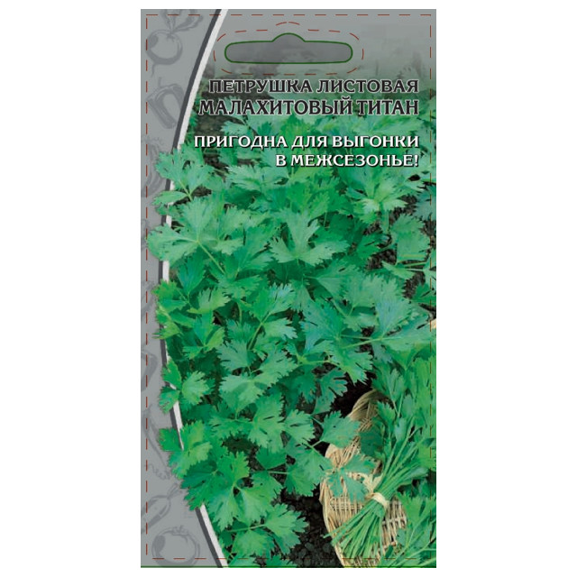 ������ ������ ������ �������� ����������� ����� 2�   ����