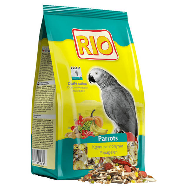 ������ ������ ���� ��� ������� �������� RIO 1��   ����