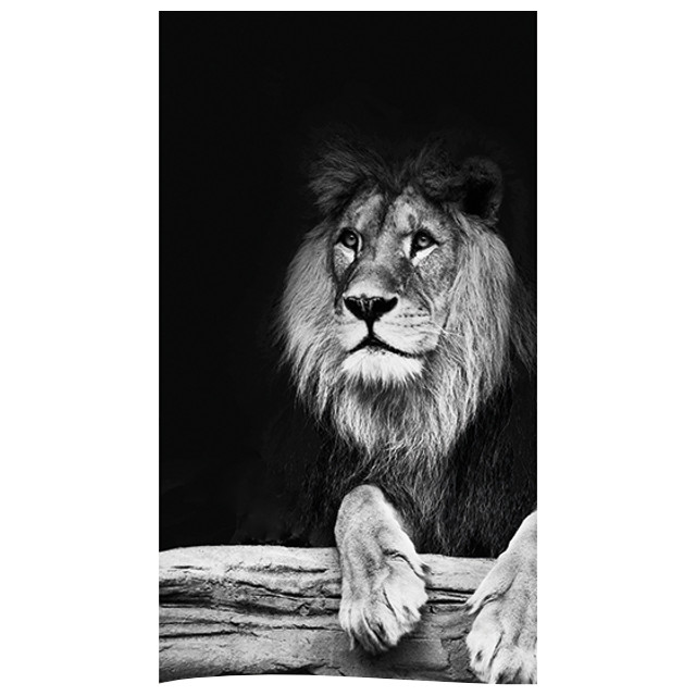 ������ ������ ��������� ��� ������ 180�200�� Lion ���������   ����