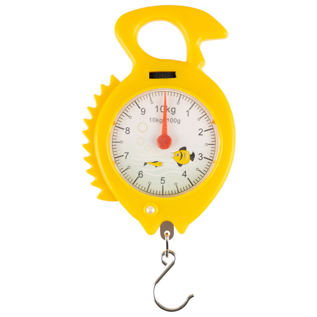 ������ ������ ������ HOMESTAR HS-3009M ������������ �� 10�� ������, �������   ����