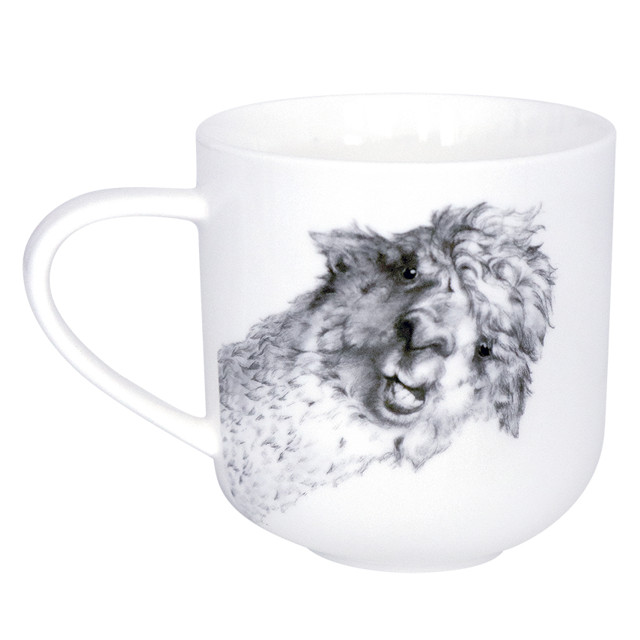 ������ ������ ������ QUINSBERRY Llama 450�� ������   ����