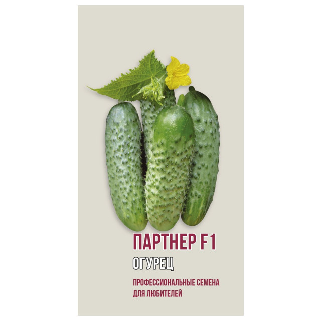 ������ ������ ������ ������ ������� F1 ������ 5��   ����
