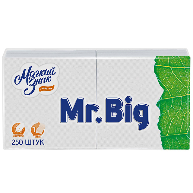 ������ ������ �������� ������ ���� Mr.Big 1-������� 24�24�� 250��   ����