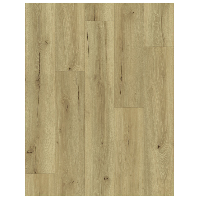 ������ ������ ������ SPC BESTENHAUS ����� �������� 1220�180�5�� IXPE 1�� 2,635�2   ����