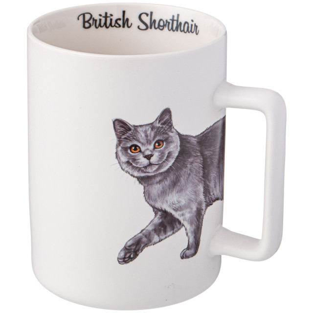 ������ ������ ������ LEFARD British Shorthair 400�� ������   ����