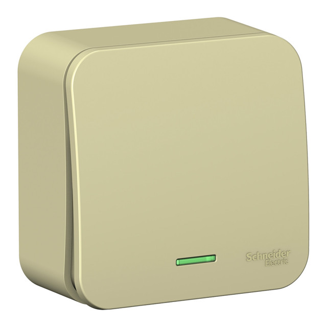 ������ ������ ����������� 1-��������� SYSTEME ELECTRIC Blanca 10� �/� �������   ����