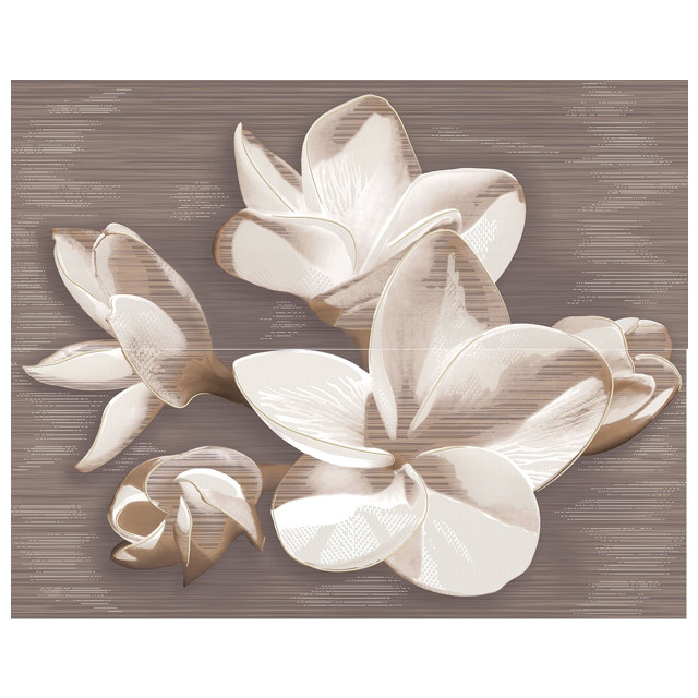 ������ ������ ����� ��������� AZORI Amati plumeria alba (�� 2 ��) 50,5�40,2 ����������   ����