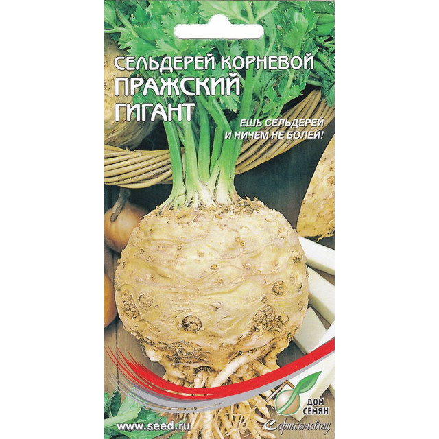 ������ ������ ������ ��������� �������� ��� ����� �������� ������ 750��   ����