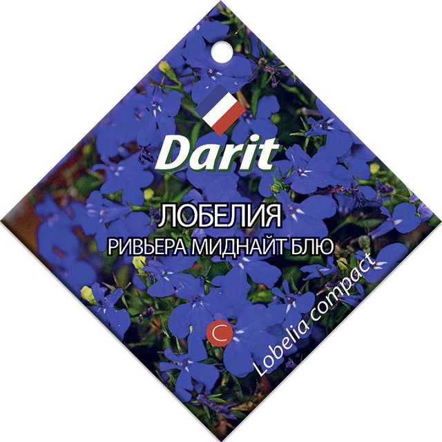 ������ ������ ������ ������� ������� ������� ��� DARIT 10��   ����