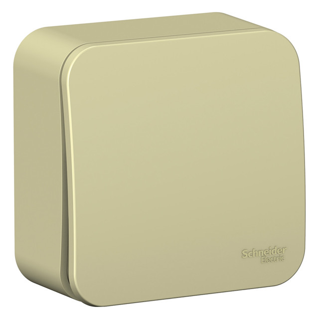 ������ ������ ����������� 1-��������� SYSTEME ELECTRIC Blanca 10� �������   ����