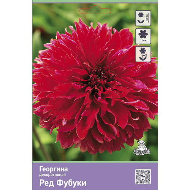 ������ ������ ������� �������� ������������ ��� ������ 1��   ����