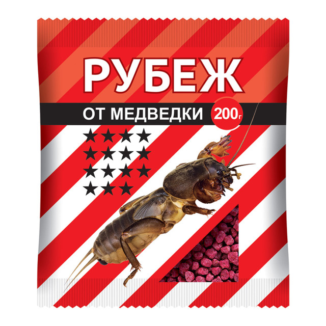 ������ ������ ���������� ����� 200� �� ��������   ����