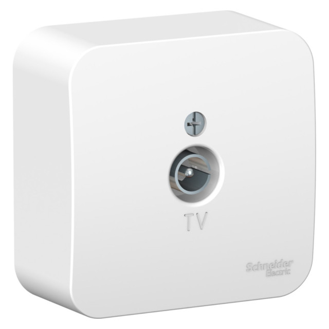 ������ ������ ������� 1 ���� TV SYSTEME ELECTRIC Blanca �����   ����