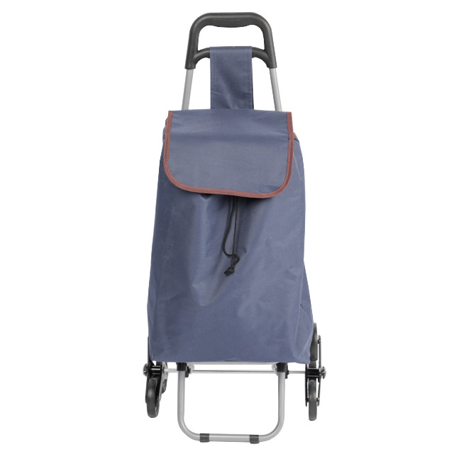 ������ ������ ������� � ������ MAXITERRA �� 25��   ����