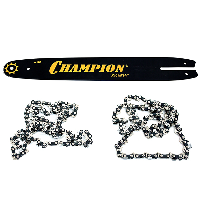 ������ ������ ����� CHAMPION ���� 14