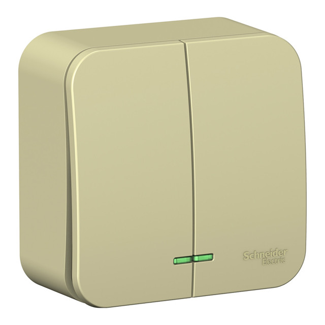 ������ ������ ����������� 2-��������� SYSTEME ELECTRIC Blanca 10A �/� �������   ����