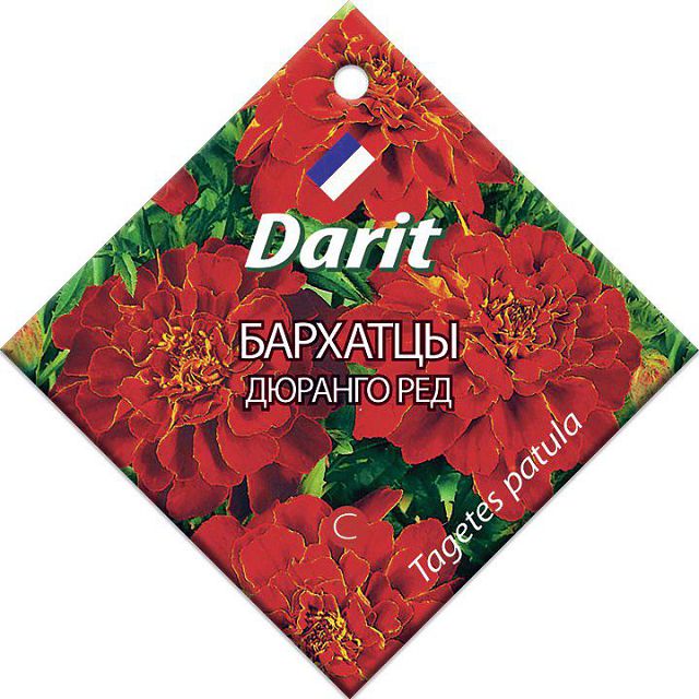 ������ ������ ������ �������� ������� ��� DARIT 10��   ����