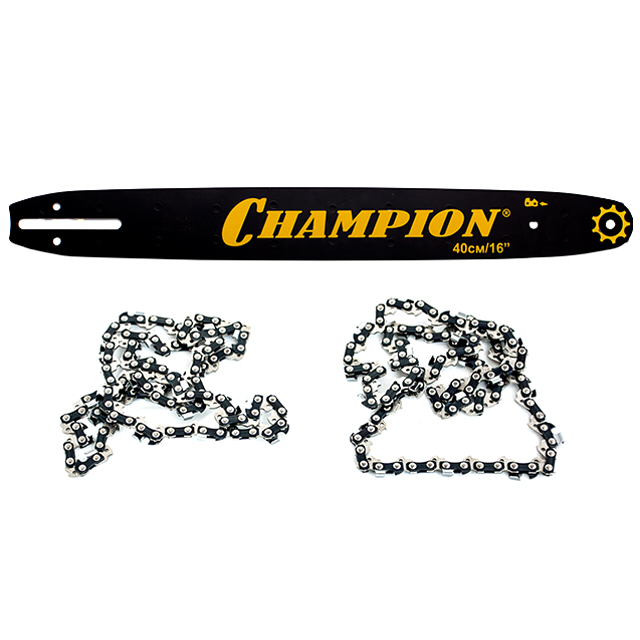 ������ ������ ����� CHAMPION ���� 16