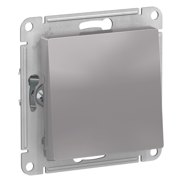 ������ ������ ������������� 1-��������� SYSTEME ELECTRIC Atlas Design ��������   ����