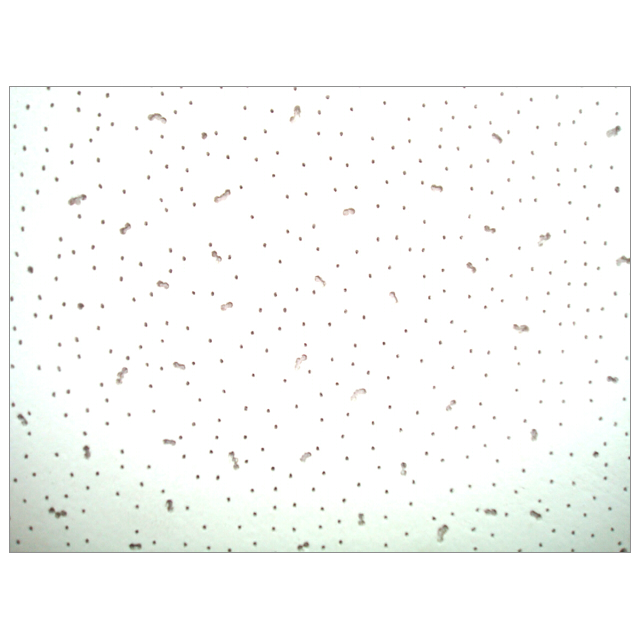 ������ ������ ����� ���������� BESTENHAUS 600�600�6�� ��.22��   ����