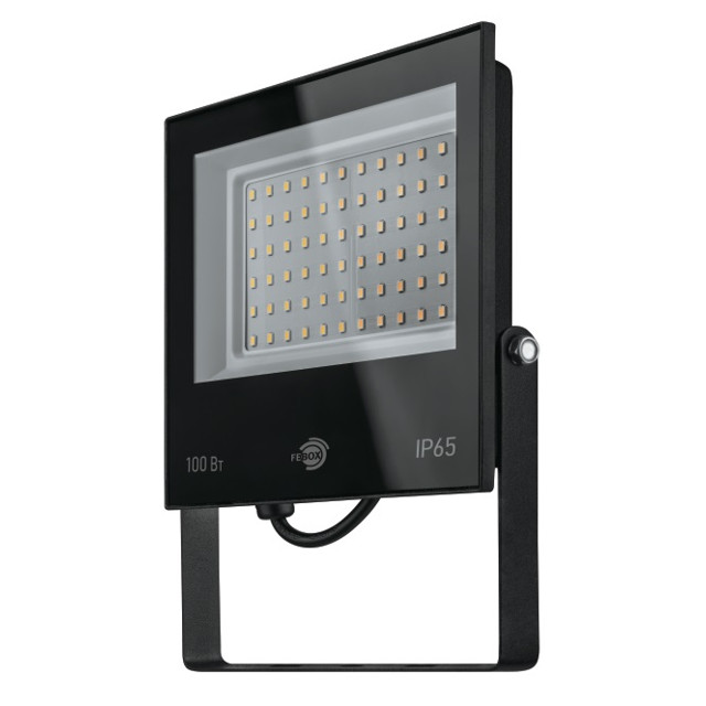 ������ ������ ��������� ������������ FEBOX 100�� 8000�� 6500� IP65 ������   ����