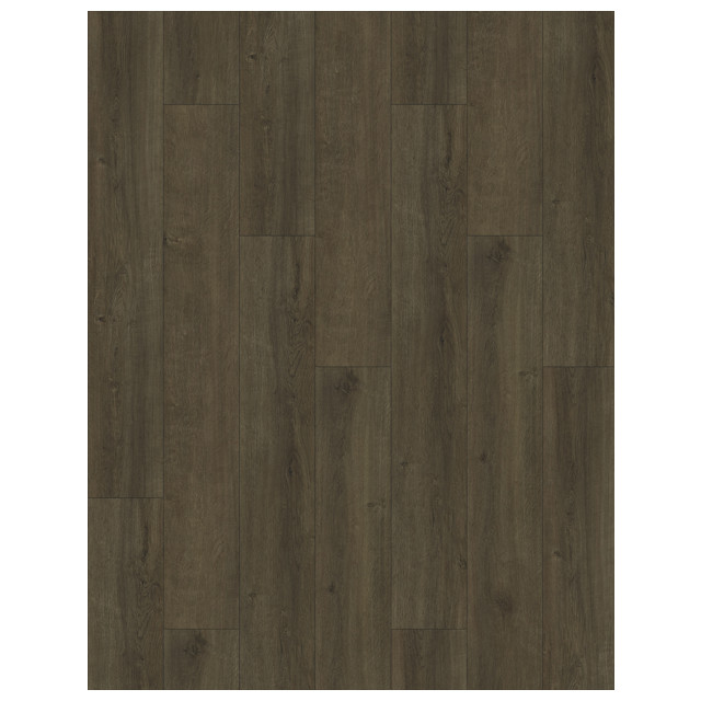 ������ ������ ������ SPC BESTENHAUS ���� ����� 1220�180�5�� IXPE 1�� 2,635�2   ����