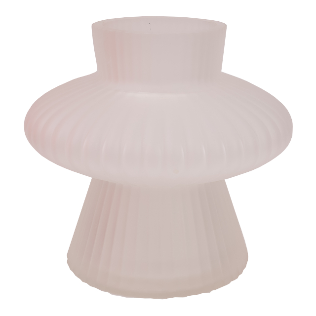 ������ ������ ���� TODELIA ����� 18,5�� ������ �����   ����