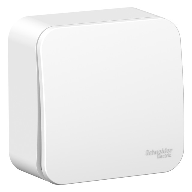 ������ ������ ����������� 1-��������� SYSTEME ELECTRIC Blanca 10A �����   ����