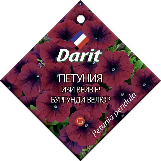 ������ ������ ������ ������� ��� ���� �������� ����� F1 DARIT 5��   ����