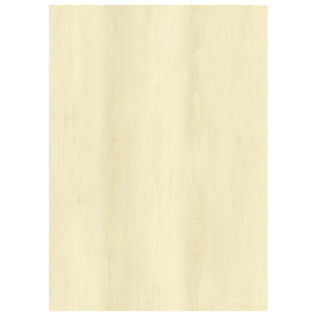 ������ ������ ������ SPC BESTENHAUS ��� ����� 1220�180�5�� IXPE 1�� 2,635�2   ����