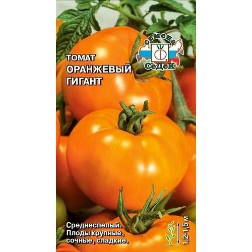 ������ ������ ����� ��������� ������, 1 �����, ������ 0,1 ��, ����� ����