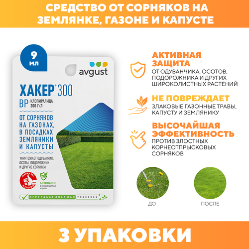 ������ ������ �������� �������� �� �������� �����-300, Avgust 9 �� 3 �� ����