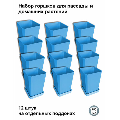 ������ ������ ������ ��� ������� � ������, 12 ���� �� ��������� ��������, ����� ����