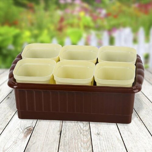 ������ ������ �������� ��� ������� �� ������� ���� �� �������� ������� 250 ��, ����� 6 �����������, 24,7 � 16,6 �� h 9 ��, ������� ����