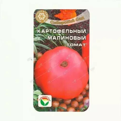 ������ ������ ����� ������������ ���������, ������ ��������� ��� 20�� ����