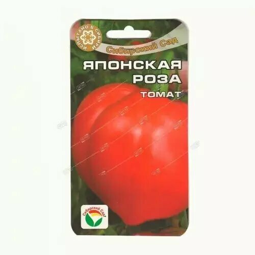 ������ ������ ����� �������� ����, ������ ��������� ��� 20�� ����