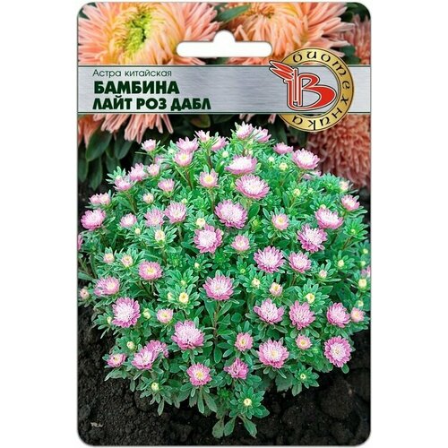 ������ ������ ������ ����� ������� ���� ��� ���� 120 �� (�����) (����������. ������ �� ���������) , 3 ������� * 40 �� (�����) ����