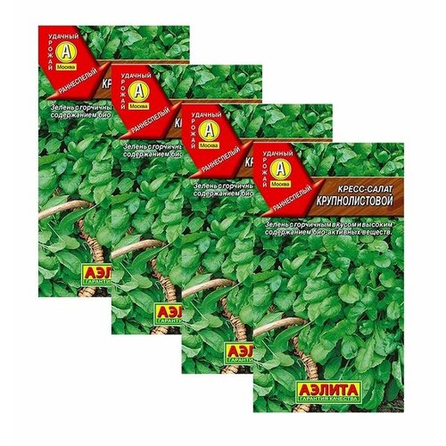 ������ ������ ������ �����-����� �������������� 1 � (������) , 4 �������� * 1 � ����