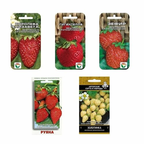 ������ ������ ����� ����� �������� � ���������, 