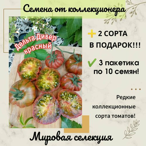 ������ ������ ����� ������ ����� �������, ������� ��������, ���� �� ������� ���� �������� ����