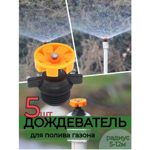 ������ ������ ����������� �������� 5 ��, ����� ����