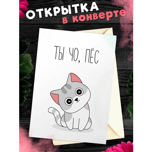 ������ ������ �������� �6 � �������� � �������� ����