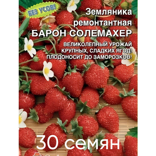 ������ ������ ����� ��������� 30 �� ����