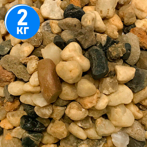 ������ ������ ����������� ����� ��� ��������, ����������� � ��������, Zoo One, ��������� ��������, 